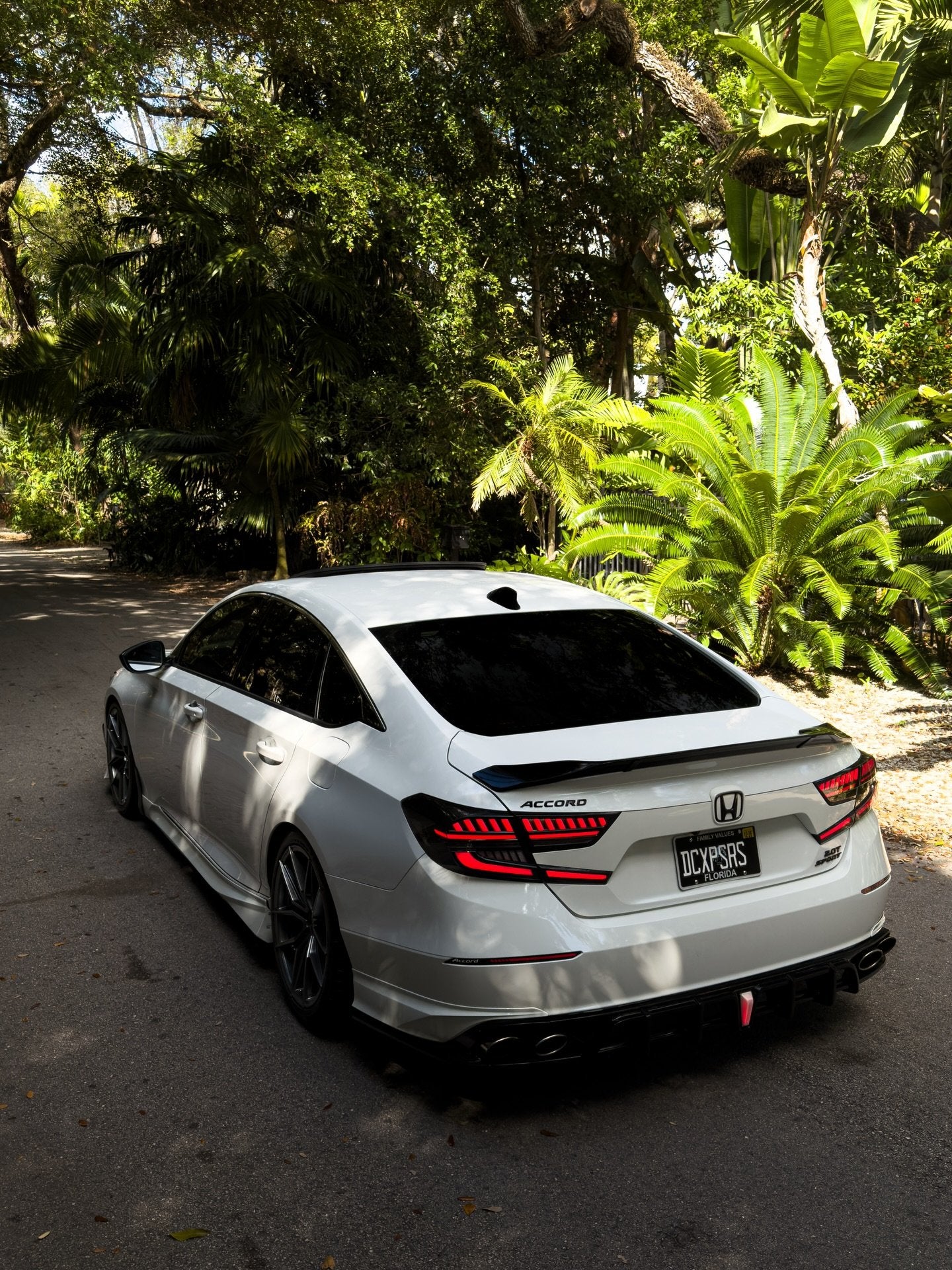 Smoked LED projector tail lights with refined finish (3)