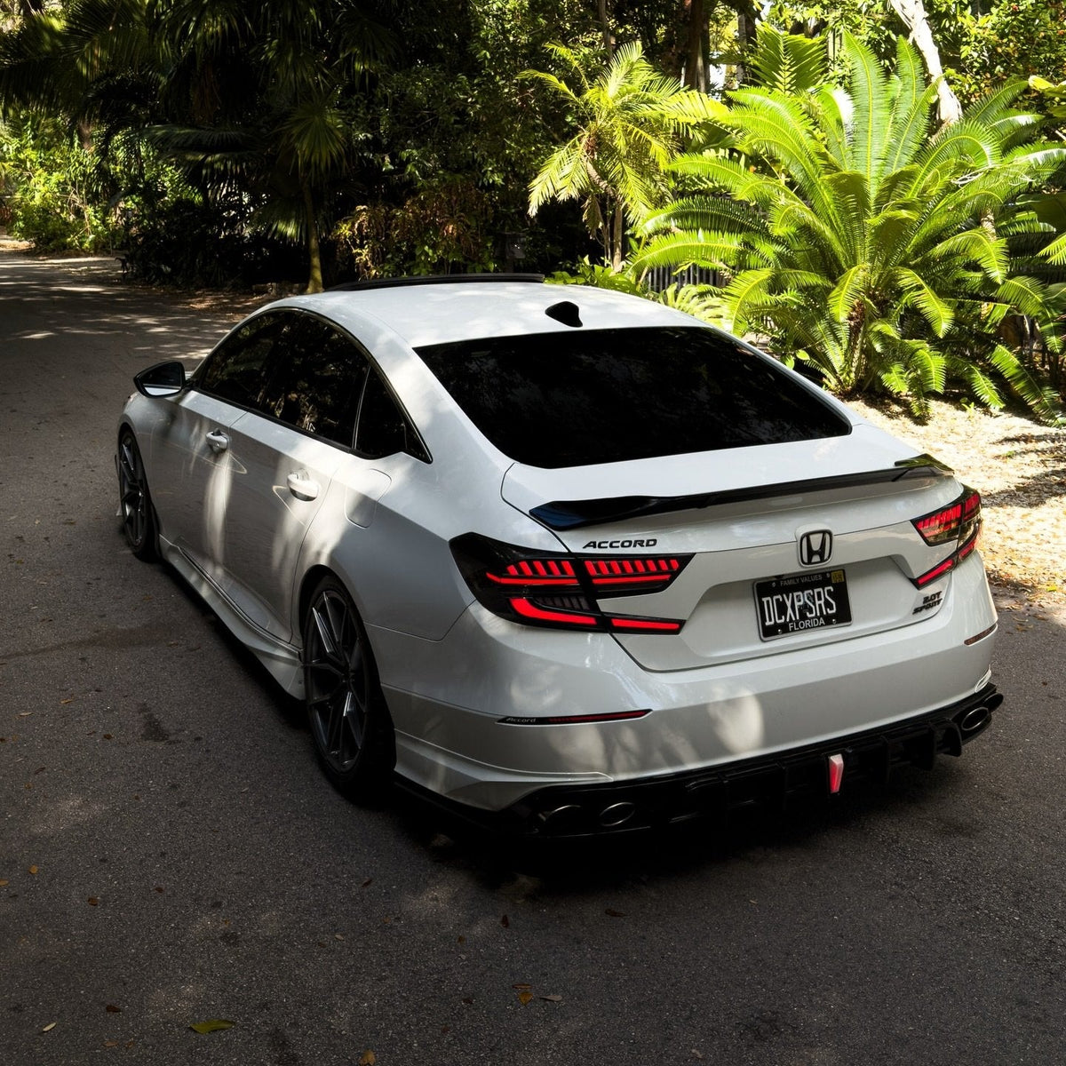 Smoked LED projector tail lights with refined finish (3)