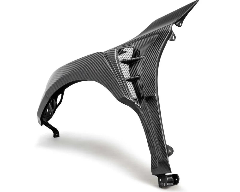 Carbon fiber fender with gloss finish for Honda Civic Type-R (2)