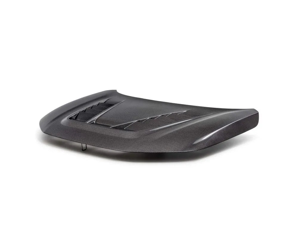 Seibon carbon fiber hood with gloss finish for Honda Civic Type-R (2)