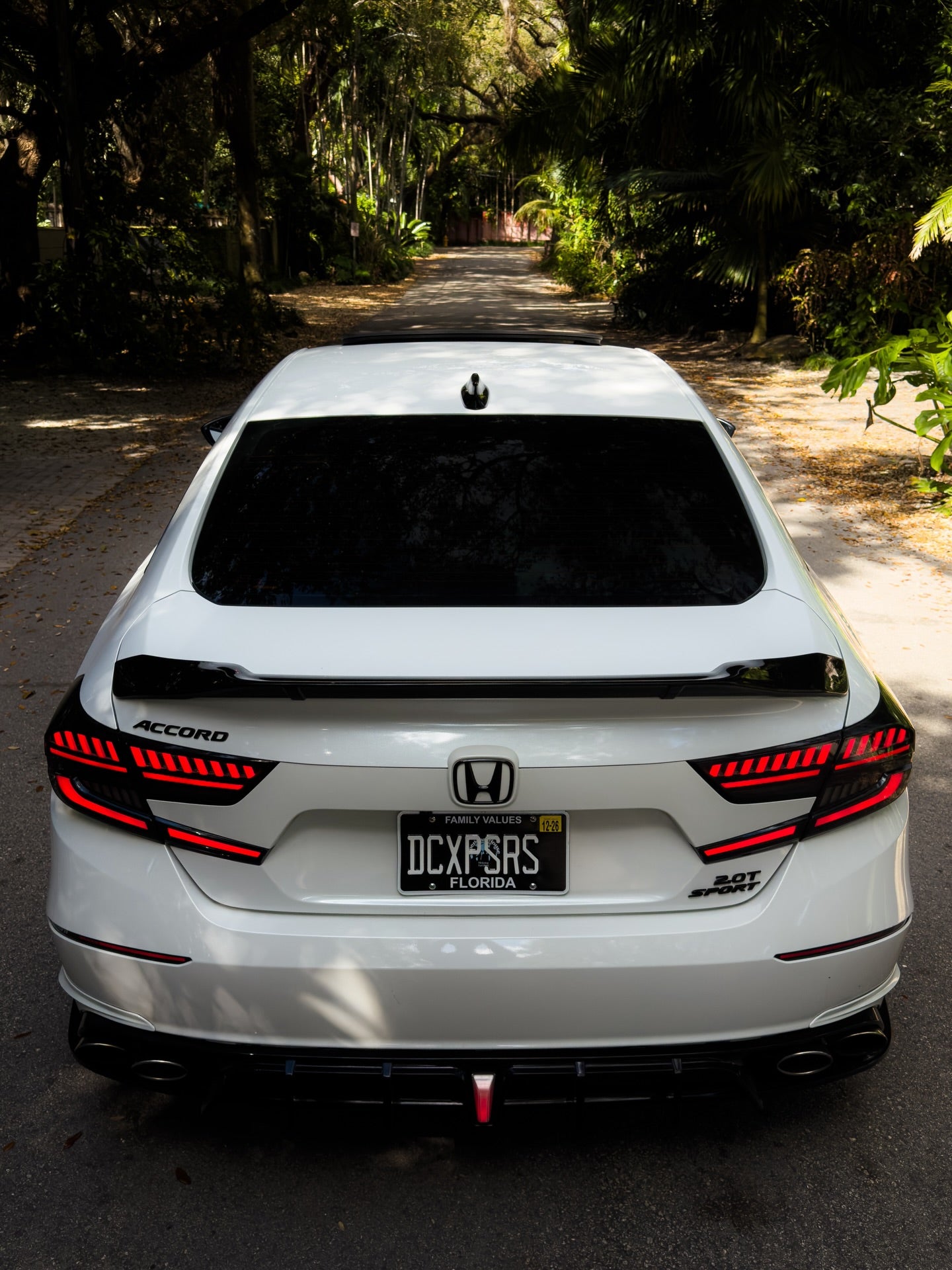 Smoked LED projector tail lights with refined finish (1)